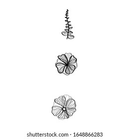 Conjunto aislado de diseños individuales de plantas.  Diseño vectorial de las plantas tropicales. Iconos simples de flores minimalistas en blanco y negro