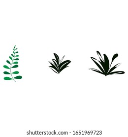 Isolated set of individual designs of plants.  Tropical plants' vector designs. Simple minimalistic botanic icons