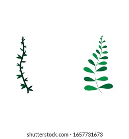 Isolated set of individual designs of plants.  Tropical plants' vector designs. Simple minimalistic botanic icons