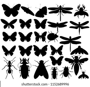 isolated, set of insects, beetles, flies, butterflies, silhouette