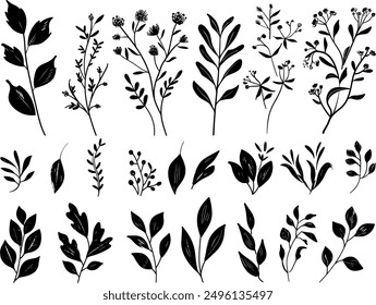 An isolated set of modern botanical flower branches with beautiful black leaves on a white background.