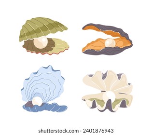 Isolated set of natural open pearl sea shell of different form and shape on white background