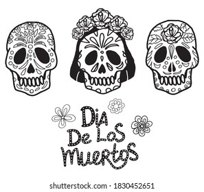 Isolated set on a white background. Three skulls with different patterns and different genders. Doodle. Female skull in colors with the inscription day of the dead. Mexico. Ideal for themed posters.
