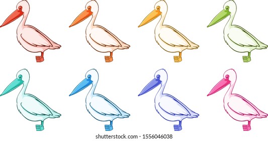 Isolated set of pelican in different colors illustration