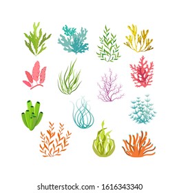 Isolated set of seaweed silhouette.Seaweeds,aquarium plants, corales,underwater planting.Nature seaweed silhouette illustration.
