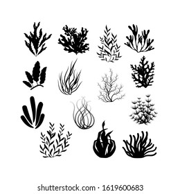 Isolated set of seaweed silhouette.Seaweeds,aquarium plants, corales,underwater planting.Nature seaweed black  silhouette illustration.