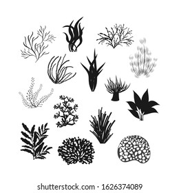 Isolated set of seaweed silhouette.Seaweeds,aquarium plants, corals,underwater planting.Nature seaweed black  silhouette illustration.