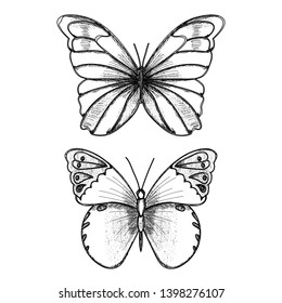 Beautiful Black Outline Vector Butterfly Illustration Stock Vector ...