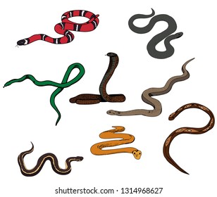 Snake Set Colorful Low Poly Designs Stock Vector (Royalty Free) 386719144