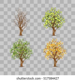 Isolated set of trees in different seasons