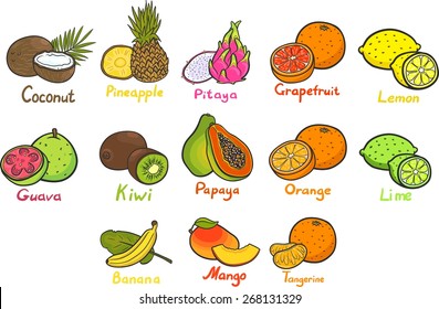 Isolated set of tropical fruits. Pineapple, banana, lemon, lime, orange, grapefruit, coconut, papaya, kiwi, pitahaya, mango, guava, tangerine. With hand-written text.