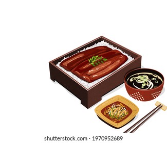 Isolated set of Unagi Kabayaki Japanese Eel Grilled with sweet sauce in bento box with side dish and soup. Isolated Unagi bento on white background. Asian Food drawing vector illustration  