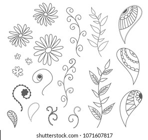isolated set of vector drawn outlines of leaves, flowers, curls. For patterns, postcards, backgrounds.sketch collection. Decorative elements for design. Ink, vintage, rustic.