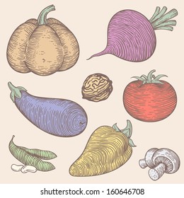 isolated set of vegetables in light colors