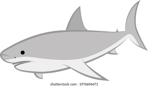 isolated shark - clip art illustration 