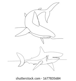 isolated, shark continuous line drawing