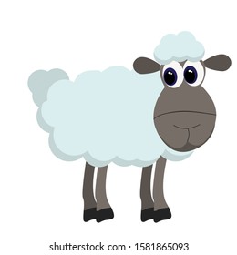 Vector ovino aislado. Dibujo de ovejas blancas lindas para animales de granja.