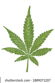 Einziger Cannabisbogen auf weißem Hintergrund. Marijuana als Medizin. Geeignet für die Gestaltung von Verpackungen für Hanfarzneimittel wie Hanfsalbe, Hanfshampoo. Vektordesign