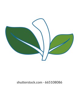 isolated sheet tree