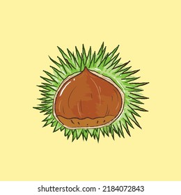 Isolated shell chestnut in vector flat illustration