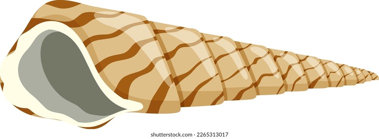 Isolated shell rocky shore illustration