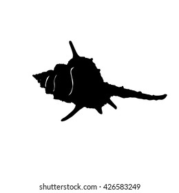 isolated shell silhouette on white background