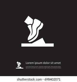 Isolated Shoelace Icon. Running Vector Element Can Be Used For Shoelace, Running, Shoes Design Concept.