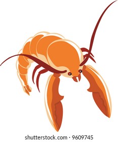 an isolated shrimp with antenna	