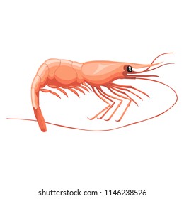 Isolated shrimp on white background cartoon character flat