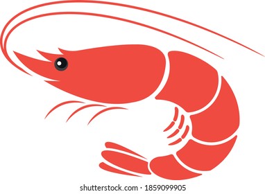 Isolated shrimp on white background