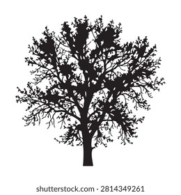 Isolated silhouette of a bare tree, showcasing its complex network of branches. Vector illustration suitable for winter, seasonal, and abstract themes. Evokes a sense of structure and natural artistry.