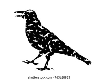  isolated silhouette of a bird, crow, icon