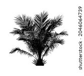 isolated silhouette black plam tree, natural plant sign, vector illustration