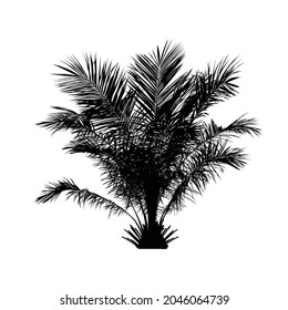 isolated silhouette black plam tree, natural plant sign, vector illustration