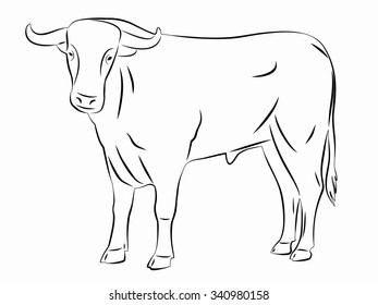 isolated silhouette of a bull, black and white sketch, white background