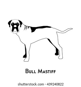 Isolated silhouette of a bull mastiff on a white background