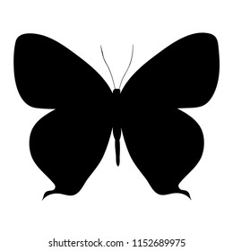 isolated, silhouette butterfly