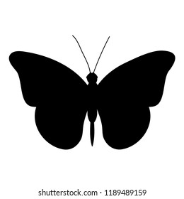 isolated, silhouette butterfly flies