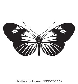 Isolated silhouette of a butterfly - Vector illustration