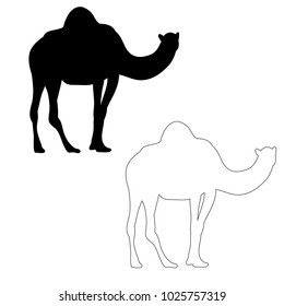 isolated silhouette of a camel
