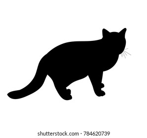 isolated silhouette cat