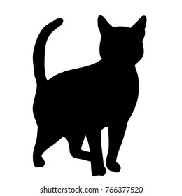  isolated silhouette of a cat, is going
