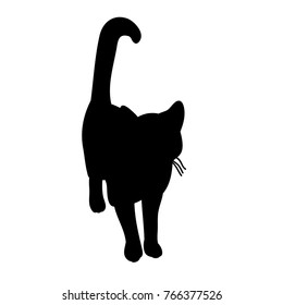  isolated silhouette of a cat, is going