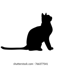isolated silhouette cat sitting