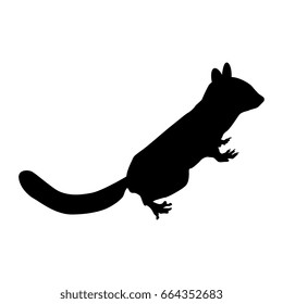 Isolated silhouette of a chipmunk