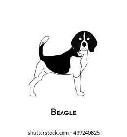 Isolated silhouette of a cute Beagle on a white background