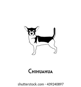 Isolated silhouette of a cute chihuahua on a white background