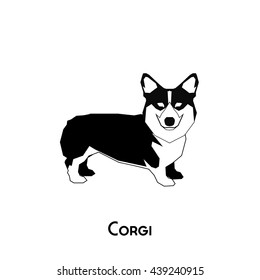 Isolated silhouette of a cute corgi on a white background