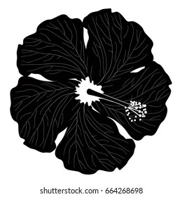 Isolated silhouette of a detailed flower, Vector illustration