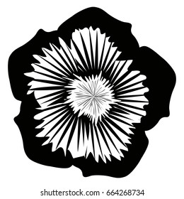 Isolated silhouette of a detailed flower, Vector illustration